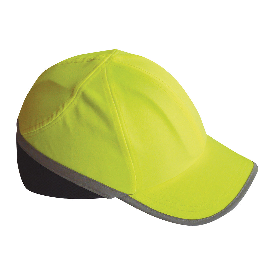 Pitkälippainen kolhulippis